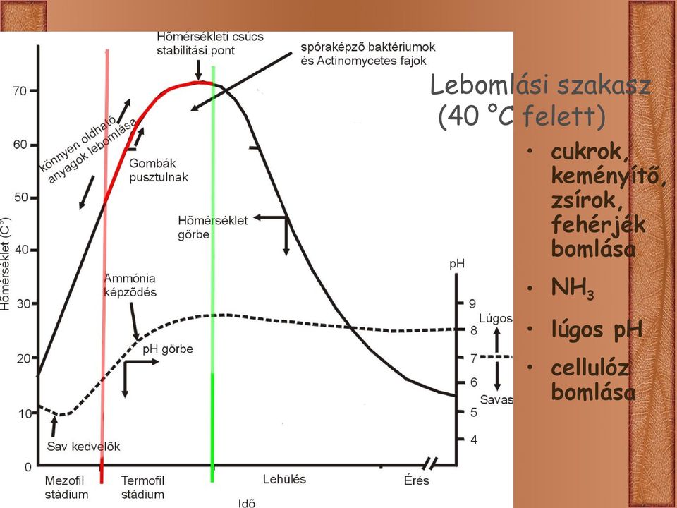 zsírok, fehérjék bomlása