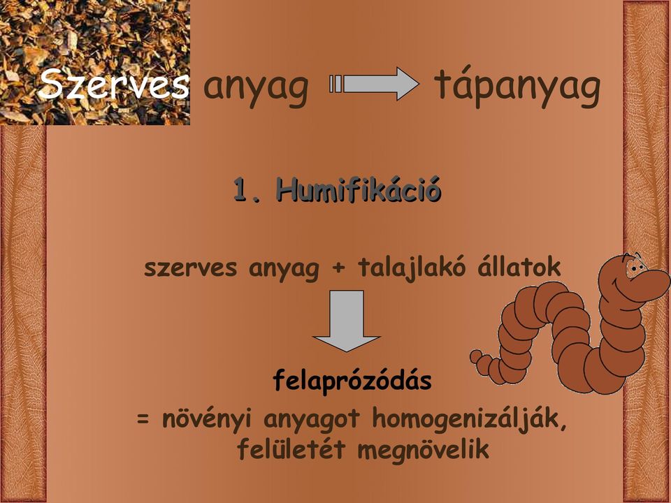 talajlakó állatok felaprózódás =