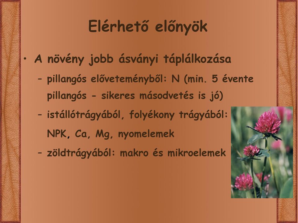 5 évente pillangós - sikeres másodvetés is jó)