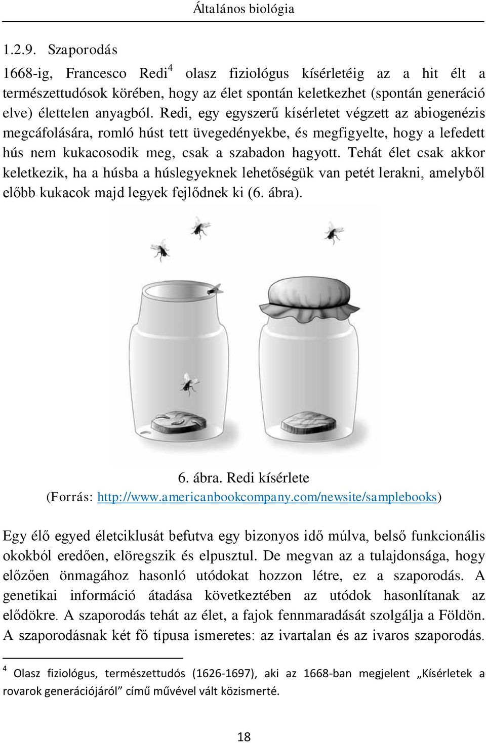 Tehát élet csak akkor keletkezik, ha a húsba a húslegyeknek lehetőségük van petét lerakni, amelyből előbb kukacok majd legyek fejlődnek ki (6. ábra). 6. ábra. Redi kísérlete (Forrás: http://www.