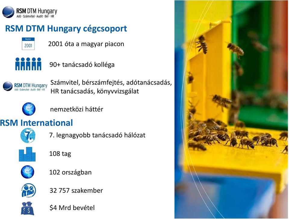 adótanácsadás, HR tanácsadás, könyvvizsgálat nemzetközi háttér 7.