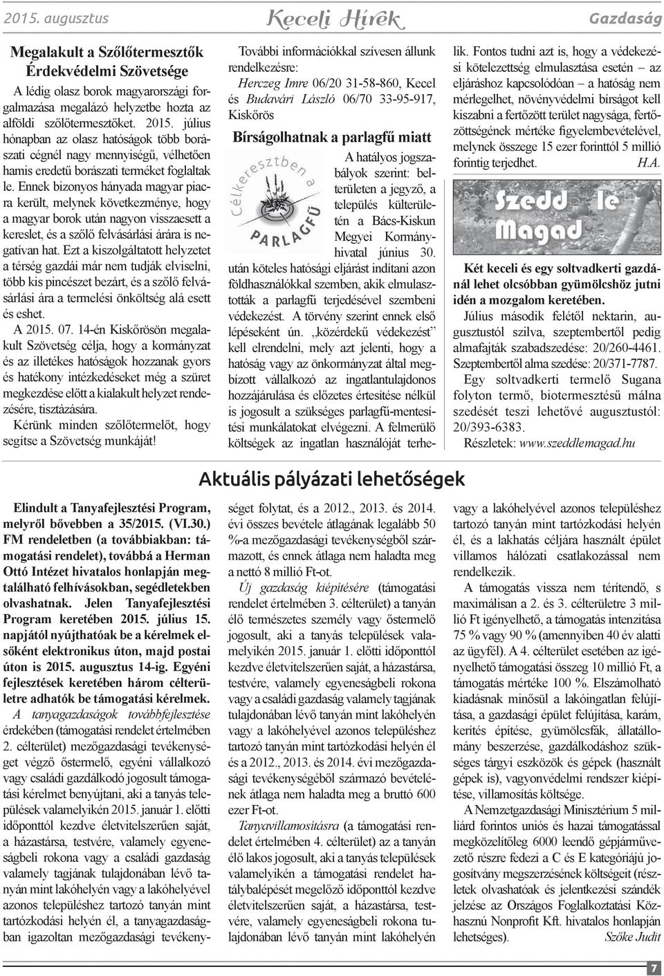 Ennek bizonyos hányada magyar piacra került, melynek következménye, hogy a magyar borok után nagyon visszaesett a kereslet, és a szőlő felvásárlási árára is negatívan hat.