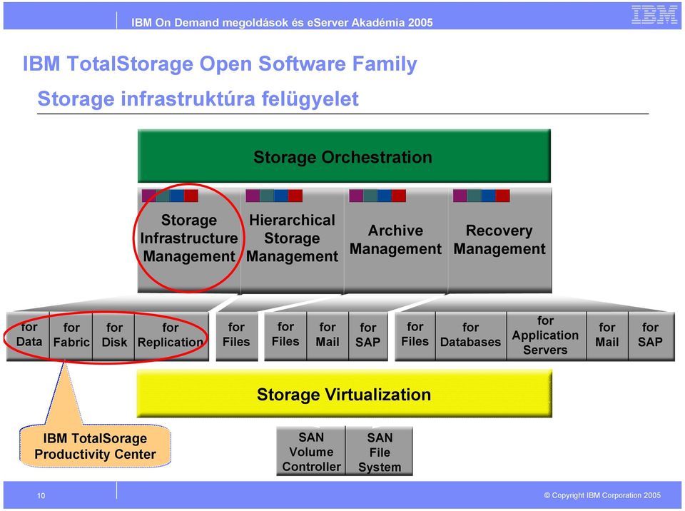 Files Files Mail SAP Files Databases Application Servers Mail SAP Storage Virtualization IBM