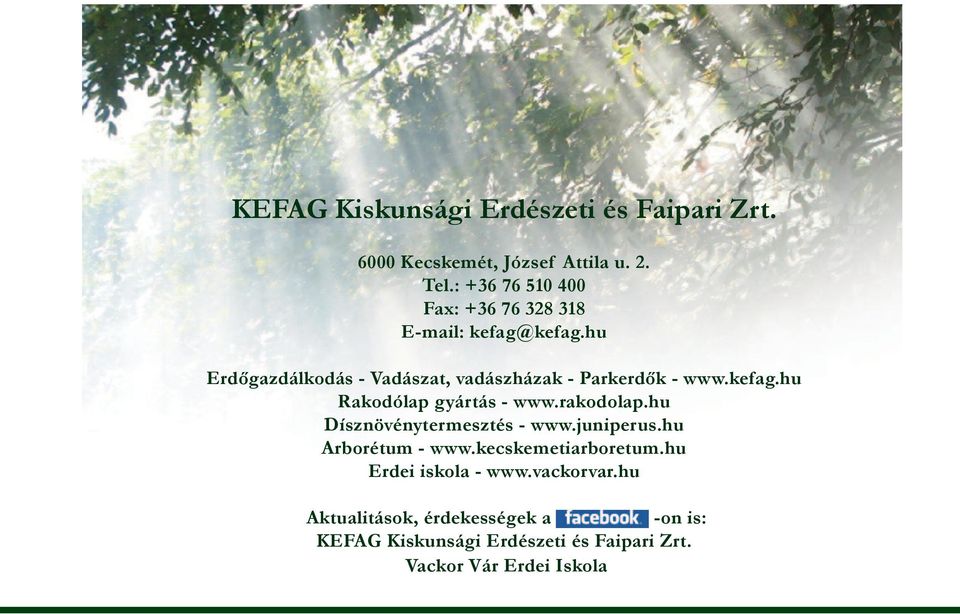 hu Erdőgazdálkodás - Vadászat, vadászházak - Parkerdők - www.kefag.hu Rakodólap gyártás - www.rakodolap.