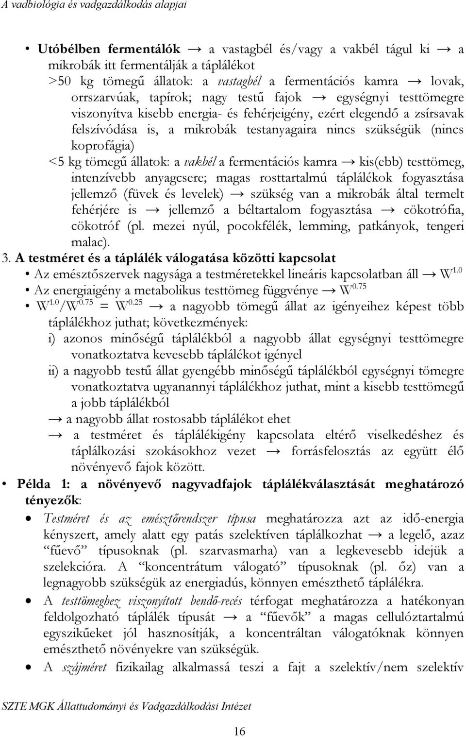 a vakbél a fermentációs kamra kis(ebb) testtömeg, intenzívebb anyagcsere; magas rosttartalmú táplálékok fogyasztása jellemző (füvek és levelek) szükség van a mikrobák által termelt fehérjére is