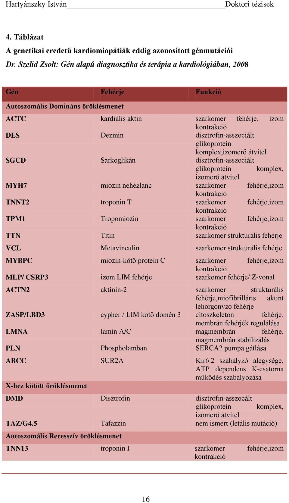 disztrofin-asszociált glikoprotein komplex,izomerő átvitel SGCD Sarkoglikán disztrofin-asszociált glikoprotein komplex, izomerő átvitel MYH7 miozin nehézlánc szarkomer fehérje,izom kontrakció TNNT2