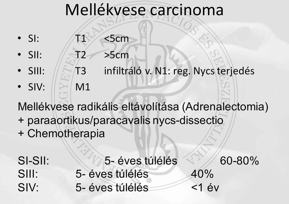 Nycs terjedés SIV: M1 Mellékvese radikális eltávolítása (Adrenalectomia)