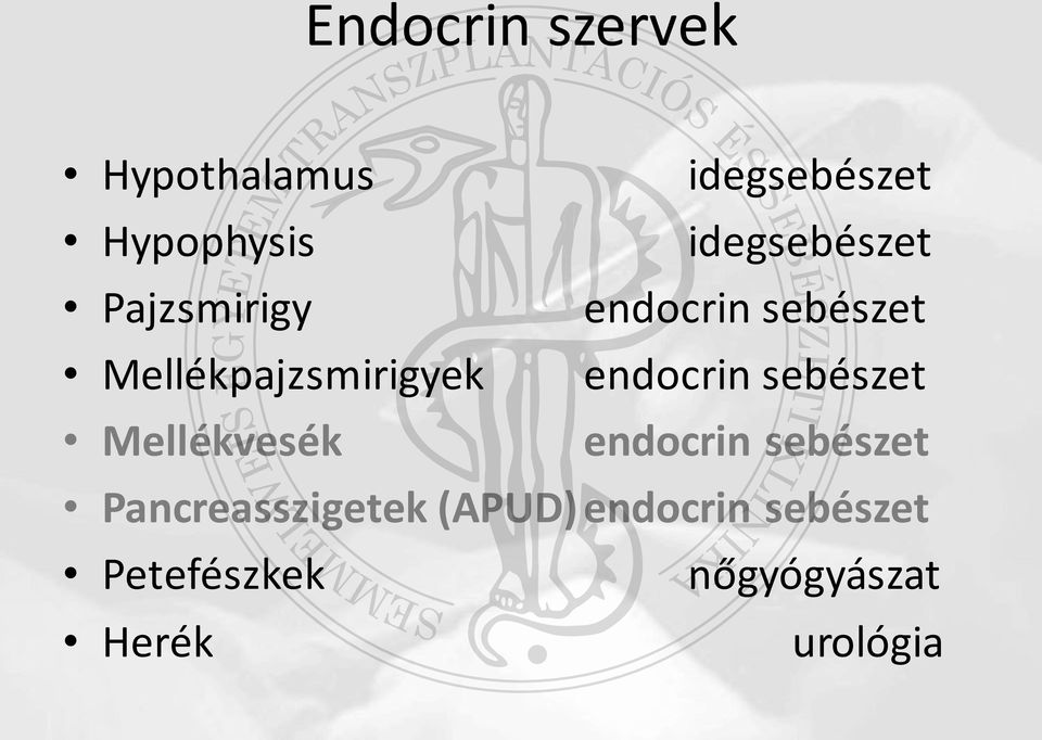 Mellékpajzsmirigyek endocrin sebészet Mellékvesék endocrin