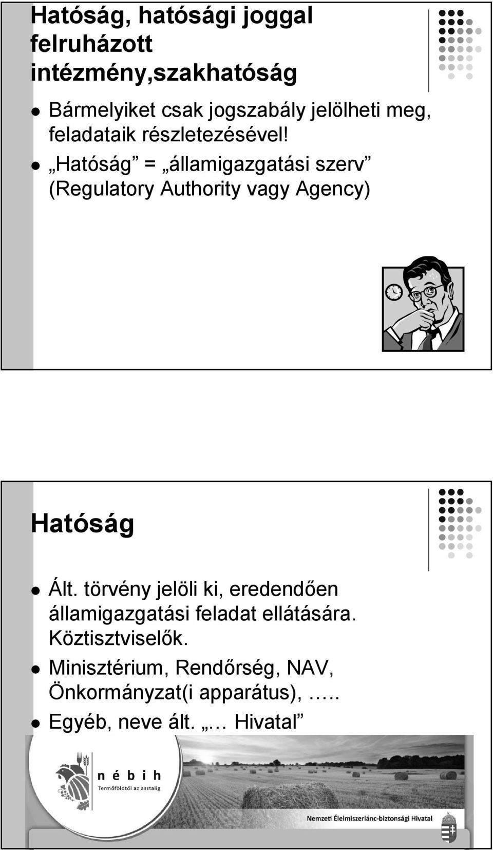 Hatóság = államigazgatási szerv (Regulatory Authority vagy Agency) Hatóság Ált.