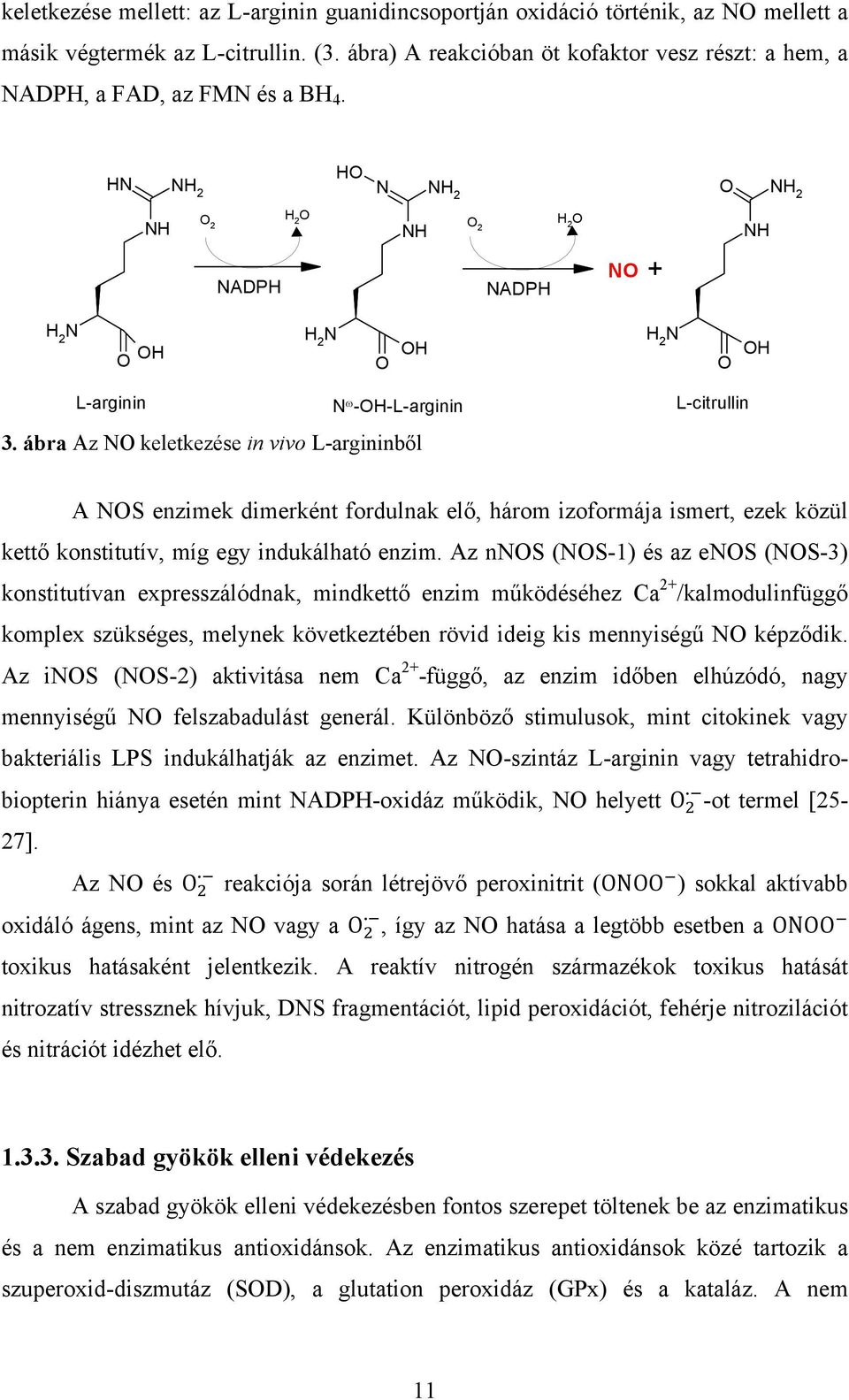 HN NH 2 HO N NH 2 O NH 2 NH O 2 H 2 O O2 O NH H 2 NH NADPH NADPH NO + N H 2 O OH N H 2 O OH N H 2 O OH L-arginin N ω -OH-L-arginin 3.