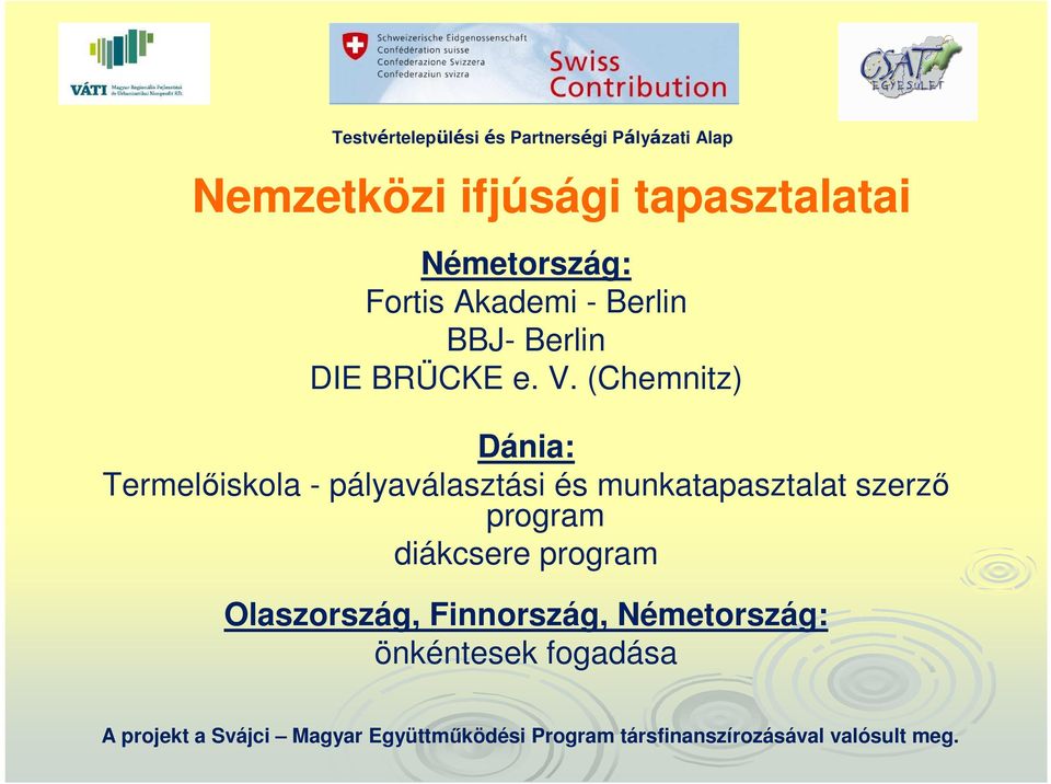 V. (Chemnitz) Dánia: Termelőiskola - pályaválasztási és munkatapasztalat