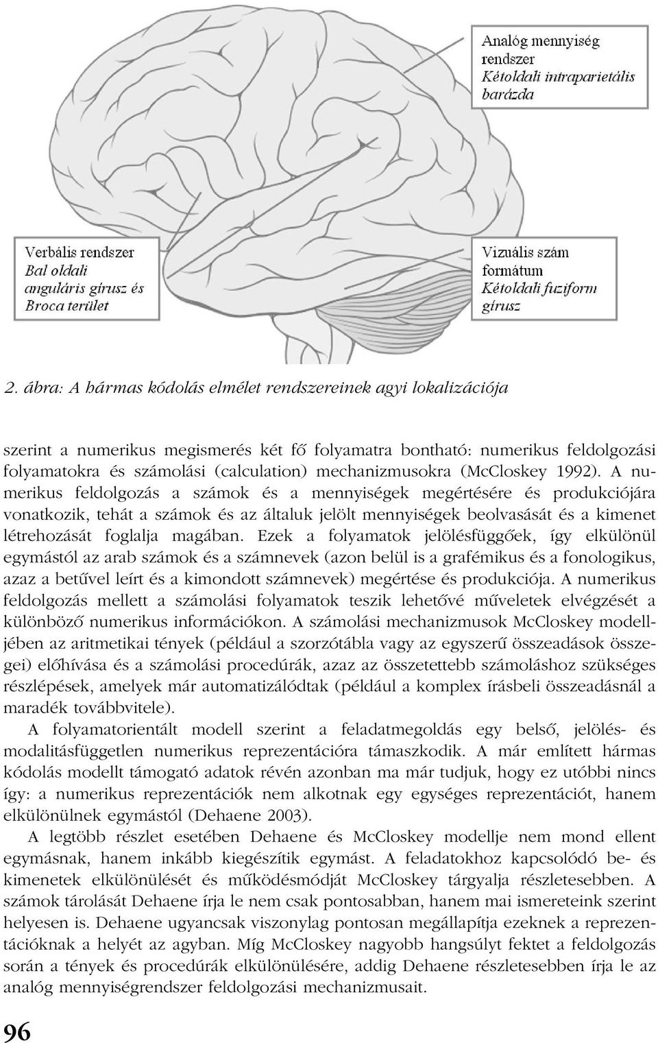 A numerikus feldolgozás a számok és a mennyiségek megértésére és produkciójára vonatkozik, tehát a számok és az általuk jelölt mennyiségek beolvasását és a kimenet létrehozását foglalja magában.