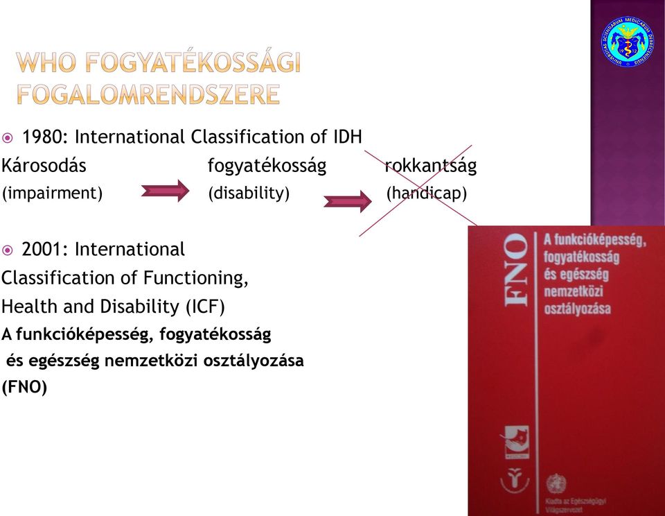 International Classification of Functioning, Health and Disability