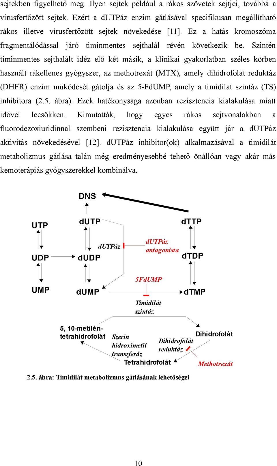 Szintén timinmentes sejthalált idéz elő két másik, a klinikai gyakorlatban széles körben használt rákellenes gyógyszer, az methotrexát (MTX), amely dihidrofolát reduktáz (DHFR) enzim működését