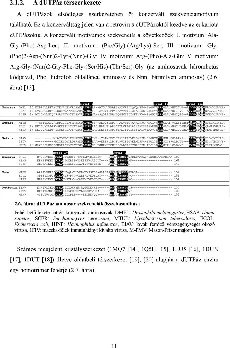motívum: Arg-(Pho)-Ala-Gln; V. motívum: Arg-Gly-(Nnn)2-Gly-Phe-Gly-(Ser/His)-(Thr/Ser)-Gly (az aminosavak hárombetűs kódjaival, Pho: hidrofób oldalláncú aminosav és Nnn: bármilyen aminosav) (2.6.