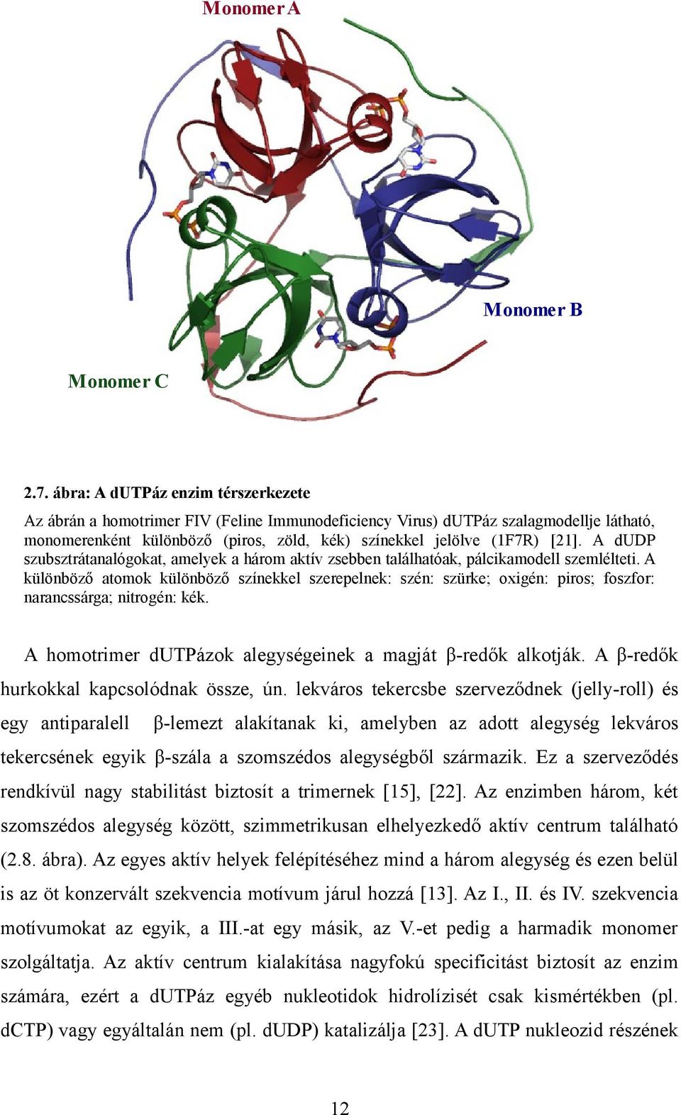 A dudp szubsztrátanalógokat, amelyek a három aktív zsebben találhatóak, pálcikamodell szemlélteti.