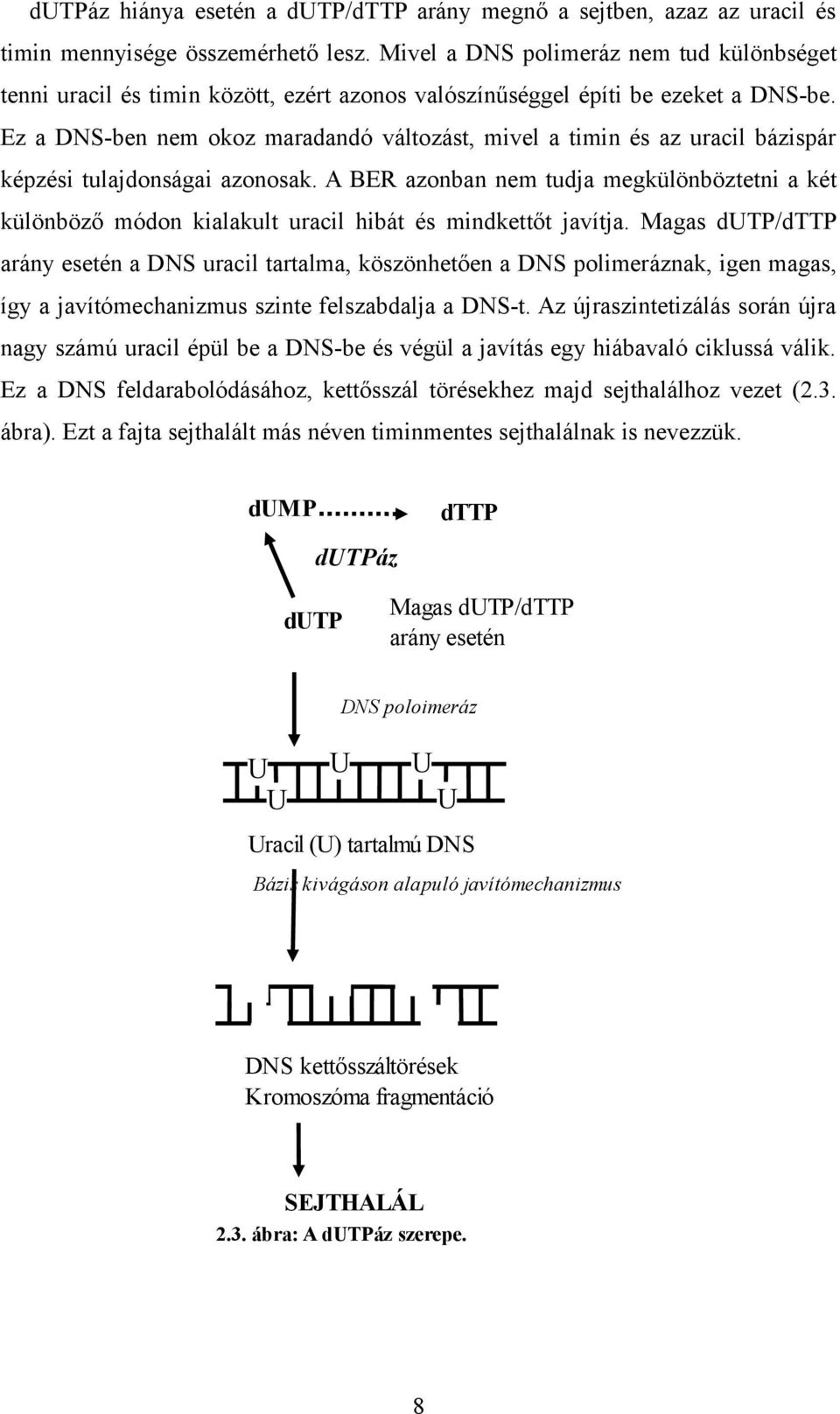 Ez a DNS-ben nem okoz maradandó változást, mivel a timin és az uracil bázispár képzési tulajdonságai azonosak.