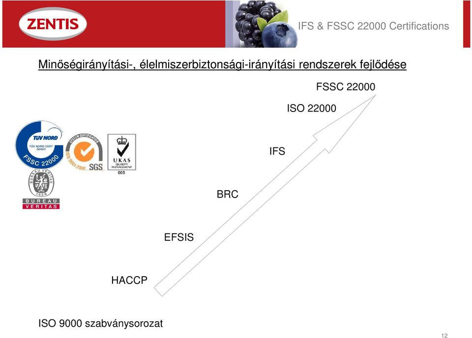 irányítási rendszerek fejlıdése ISO