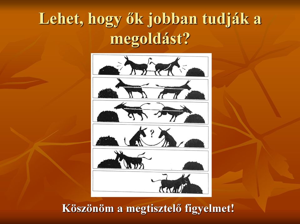 megoldást?