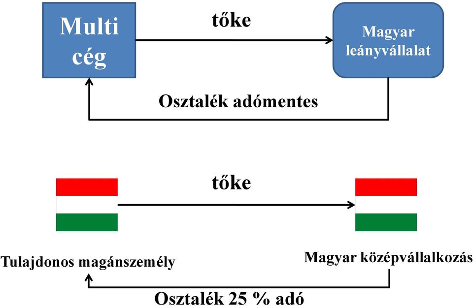 adómentes tőke Tulajdonos