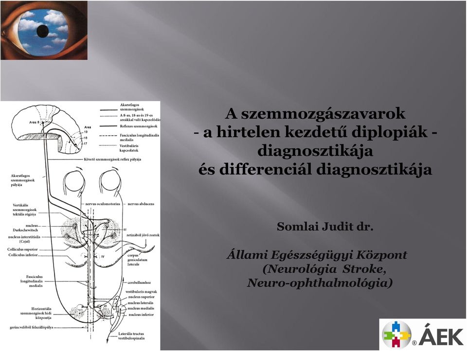 diagnosztikája Somlai Judit dr.
