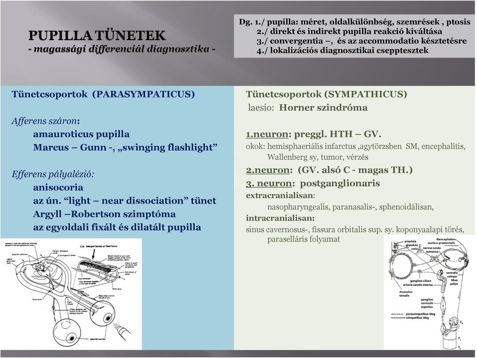 light near dissociation tünet Argyll Robertson szimptóma az egyoldali fixált és dilatált pupilla Tünetcsoportok (SYMPATHICUS) laesio: Horner szindróma 1.neuron: preggl. HTH GV.