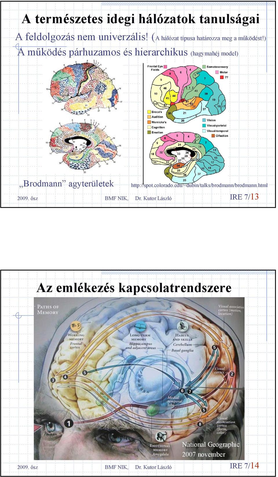 ) A működés párhuzamos és herarchkus (hagymahéj model) Brodmann agyterületek