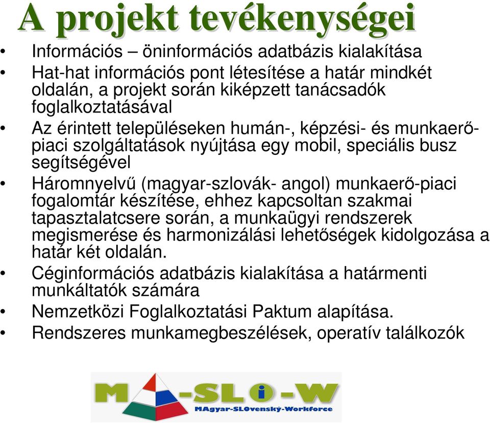 angol) munkaerı-piaci fogalomtár készítése, ehhez kapcsoltan szakmai tapasztalatcsere során, a munkaügyi rendszerek megismerése és harmonizálási lehetıségek kidolgozása a