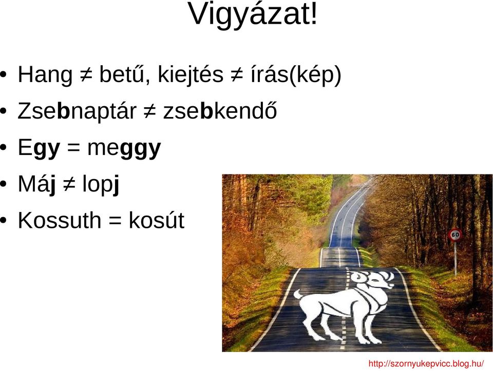 írás(kép) Zsebnaptár