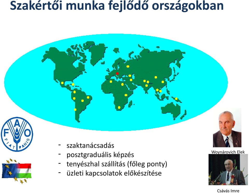 tenyészhal szállítás (főleg ponty) üzleti