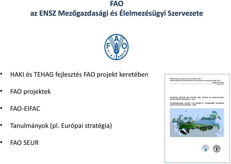 projekt keretében FAO projektek FAO-EIFAC