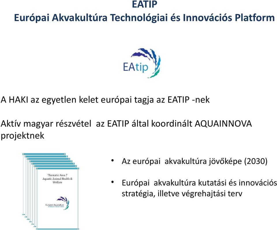 által koordinált AQUAINNOVA projektnek Az európai akvakultúra jövőképe