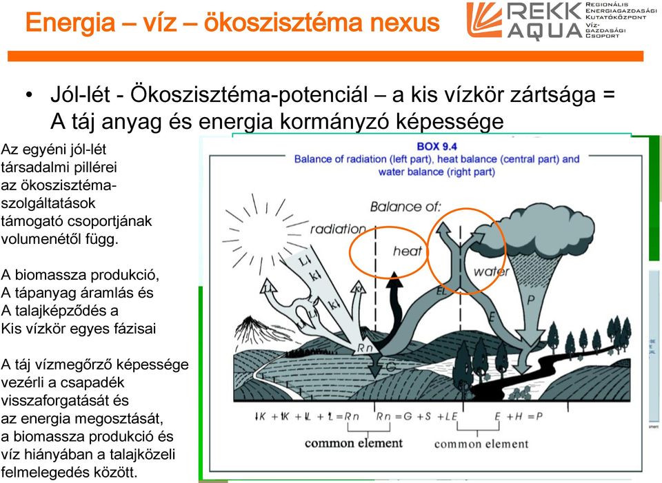 A biomassza produkció, A tápanyag áramlás és A talajképződés a Kis vízkör egyes fázisai A táj vízmegőrző képessége vezérli