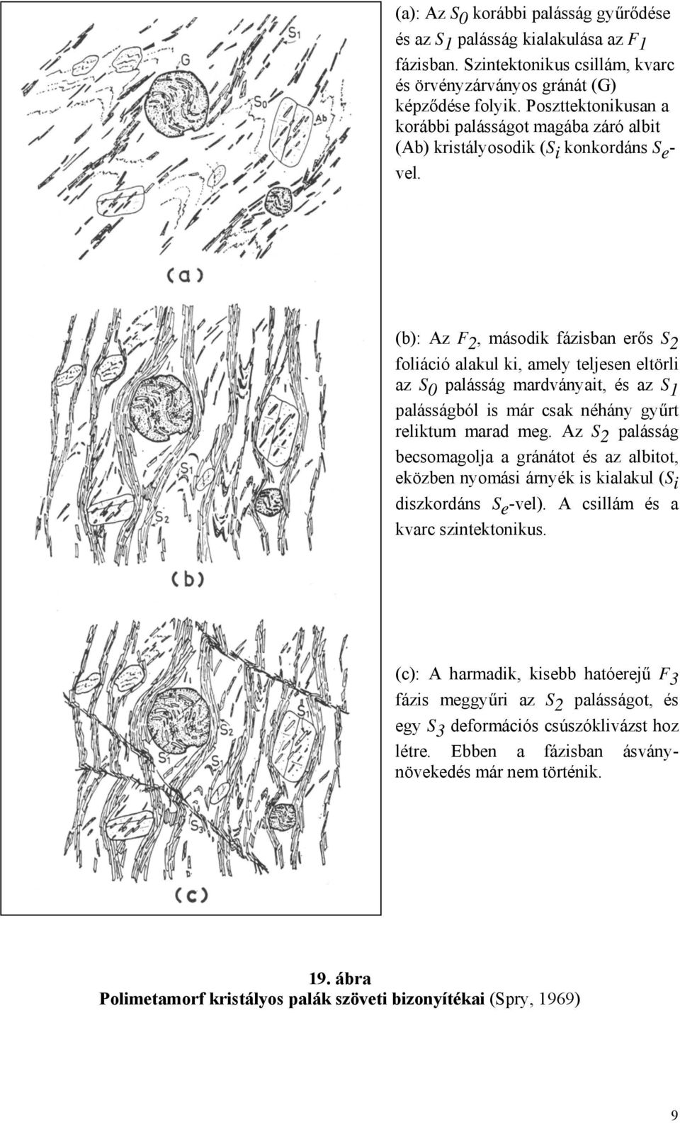 (b): Az F 2, második fázisban erős S 2 foliáció alakul ki, amely teljesen eltörli az S 0 palásság mardványait, és az S 1 palásságból is már csak néhány gyűrt reliktum marad meg.