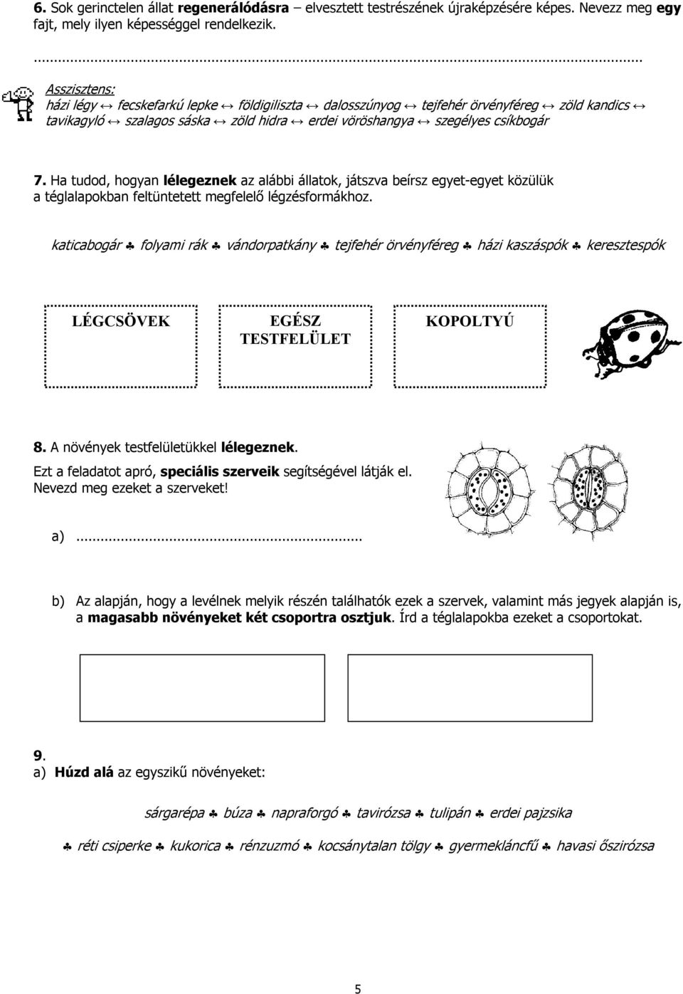 Ha tudod, hogyan lélegeznek az alábbi állatok, játszva beírsz egyet-egyet közülük a téglalapokban feltüntetett megfelelő légzésformákhoz.