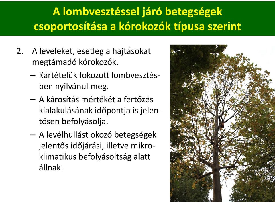 Kártételük fokozott lombvesztésben nyilvánul meg.