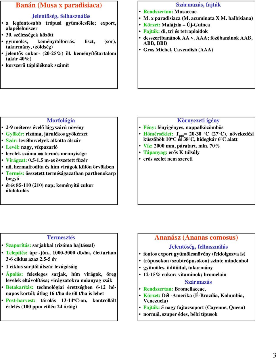 keményítőtartalom (akár 40%) korszerű tápláléknak számít Származás, fajták Rendszertan: Musaceae M. x paradisiaca (M. acuminata X M.