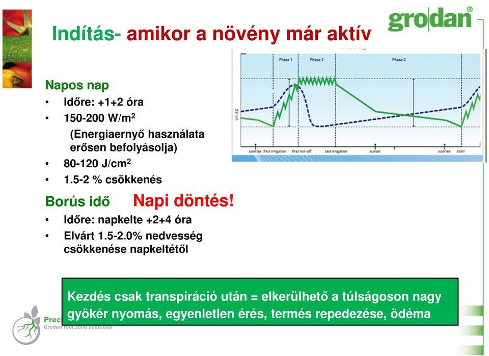 Időre: napkelte +2+4 óra Elvárt 1.5-2.