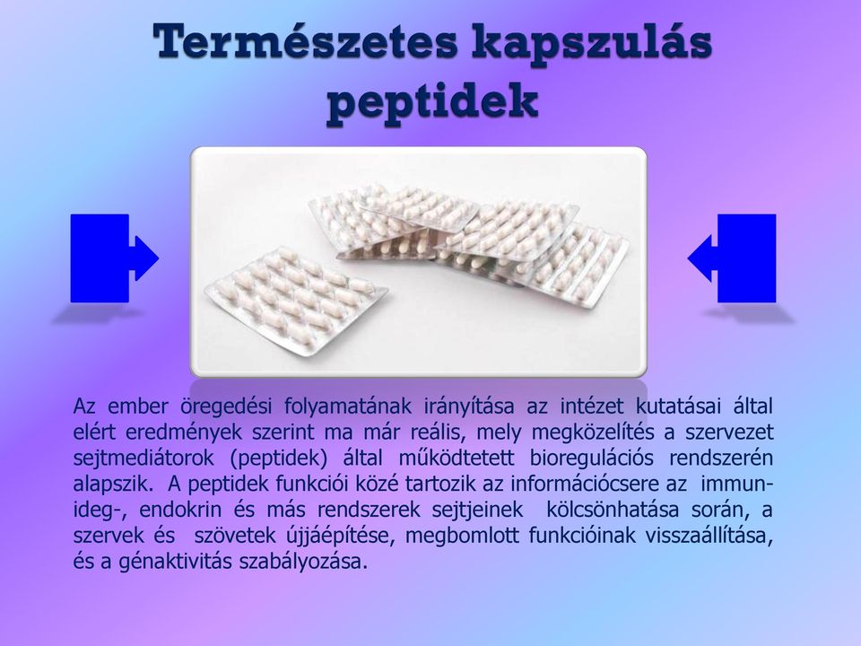 A peptidek funkciói közé tartozik az információcsere az immunideg-, endokrin és más rendszerek sejtjeinek