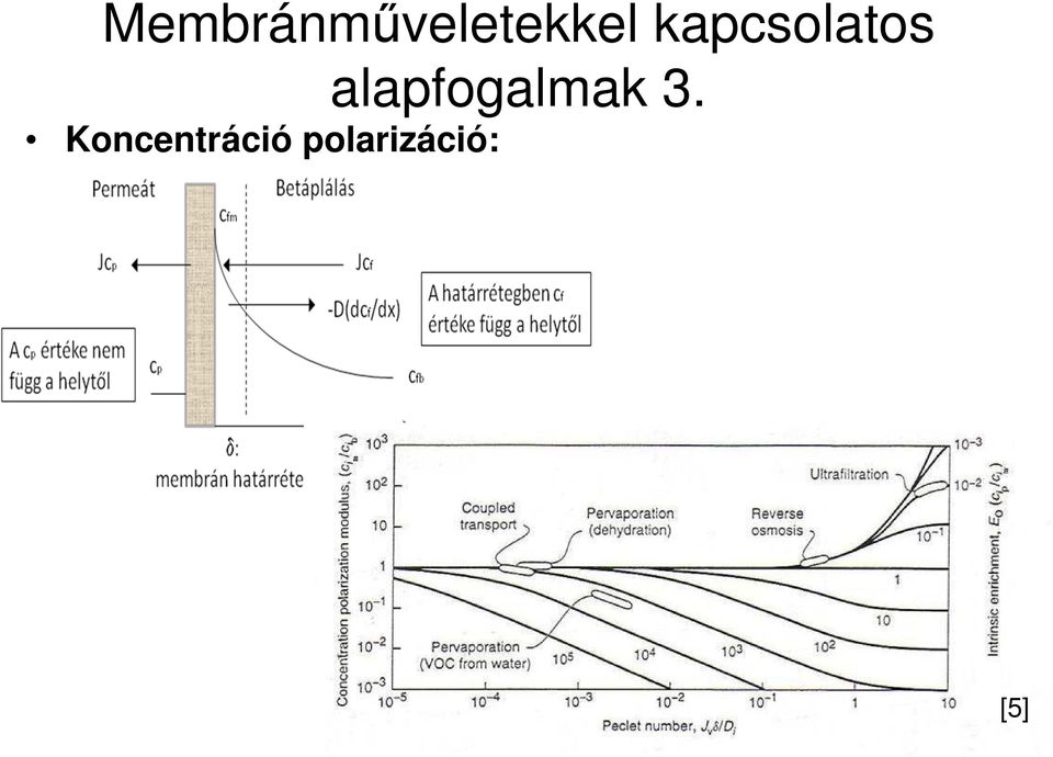 alapfogalmak 3.