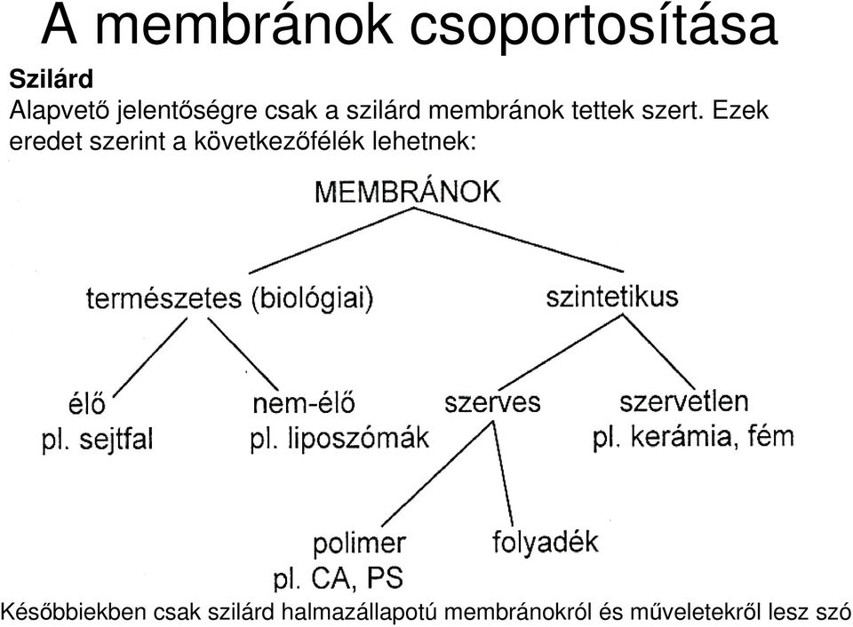 Ezek eredet szerint a következıfélék lehetnek: