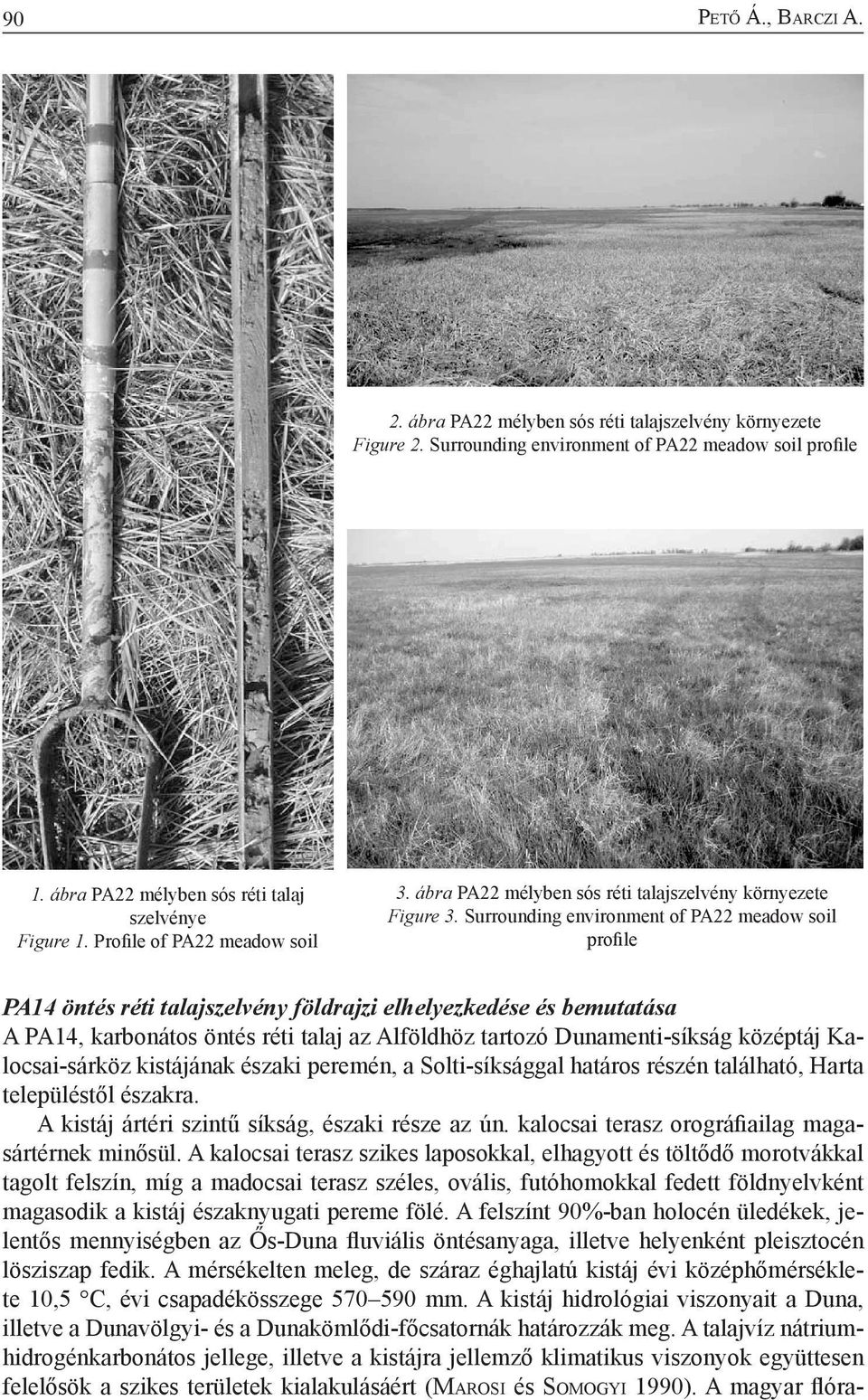 Surrounding environment of PA22 meadow soil profile PA14 öntés réti talajszelvény földrajzi elhelyezkedése és bemutatása A PA14, karbonátos öntés réti talaj az Alföldhöz tartozó Dunamenti-síkság