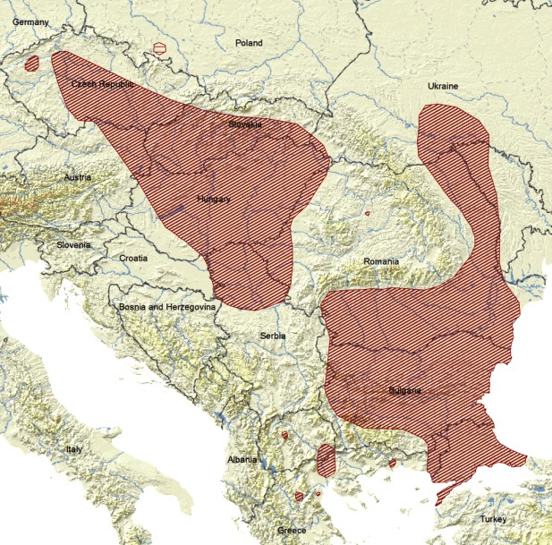2007) elterjedési térképe Az elterjedési területen belül nagymértékű a populációk fragmentáltsága és izolációja, ami gyakran kritikusan alacsony egyedszámmal párosul, így kisebb hatások is lokális