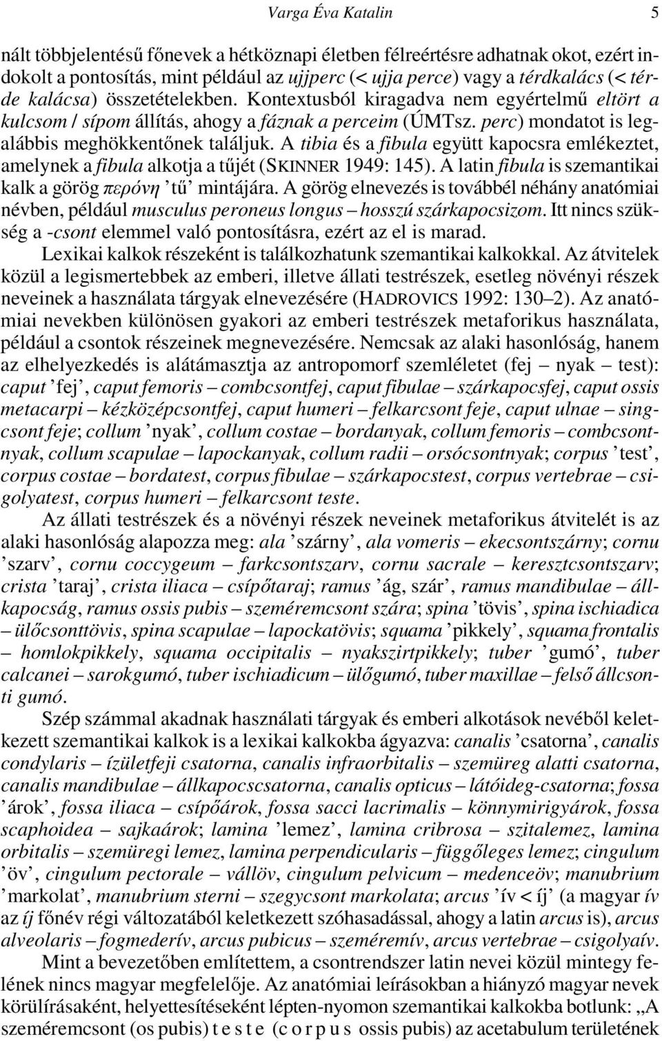 A tibia és a fibula együtt kapocsra emlékeztet, amelynek a fibula alkotja a tűjét (SKINNER 1949: 145). A latin fibula is szemantikai kalk a görög περόνη tű mintájára.