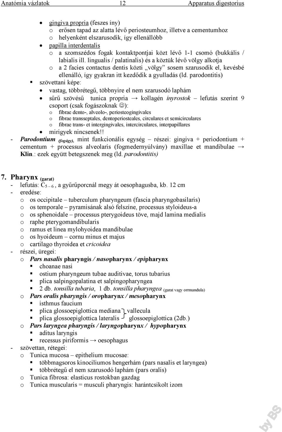 lingualis / palatinalis) és a köztük lévő völgy alkotja o a 2 facies contactus dentis közti völgy sosem szarusodik el, kevésbé ellenálló, így gyakran itt kezdődik a gyulladás (ld.