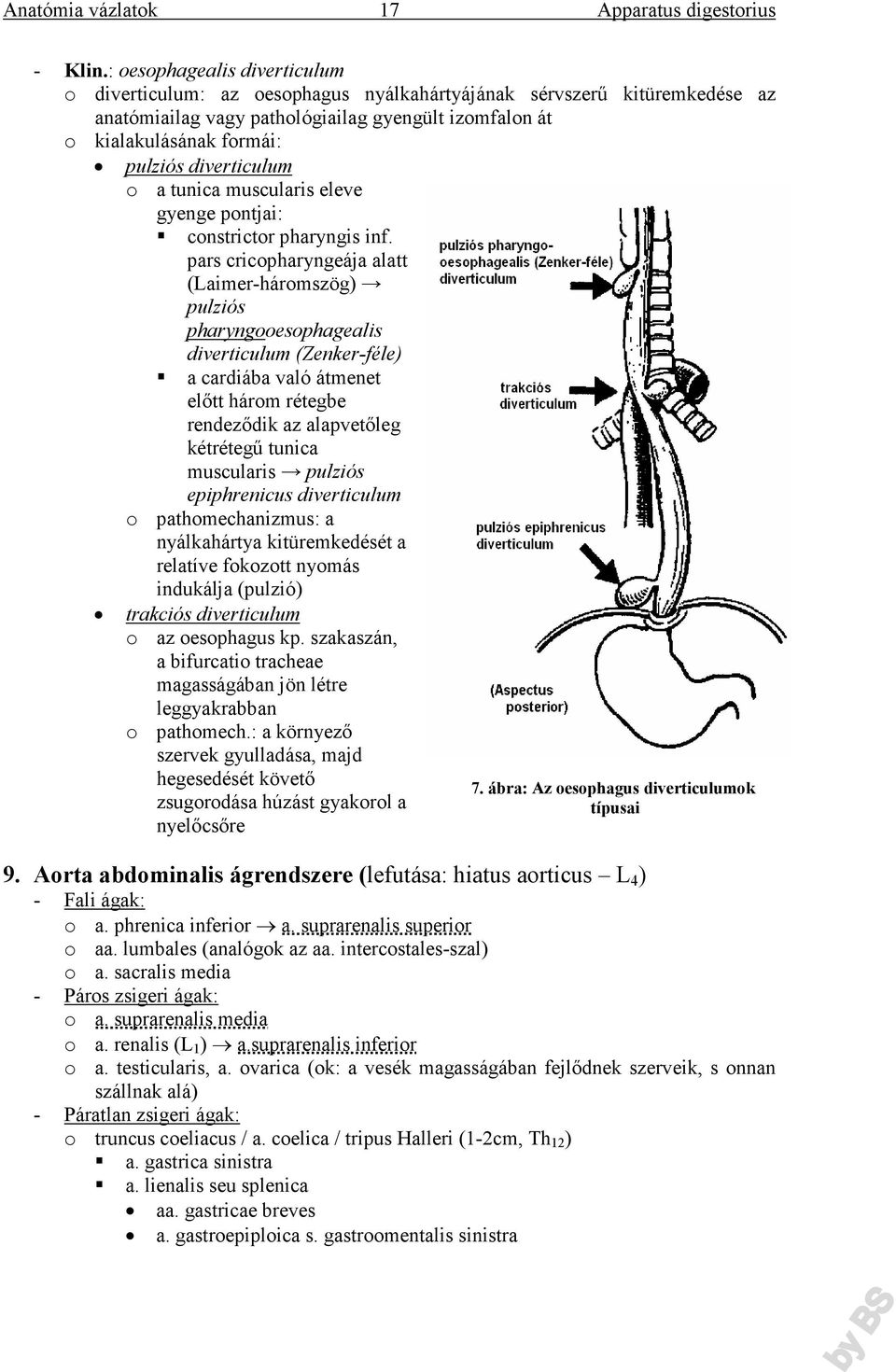 diverticulum o a tunica muscularis eleve gyenge pontjai: constrictor pharyngis inf.