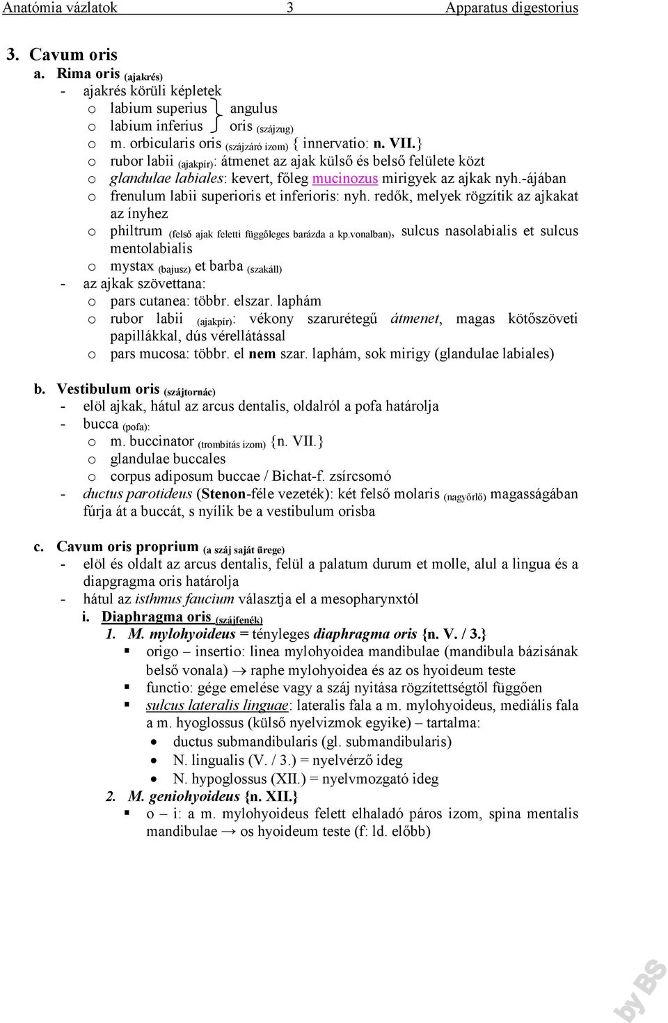 redők, melyek rögzítik az ajkakat az ínyhez o philtrum (felső ajak feletti függőleges barázda a kp.