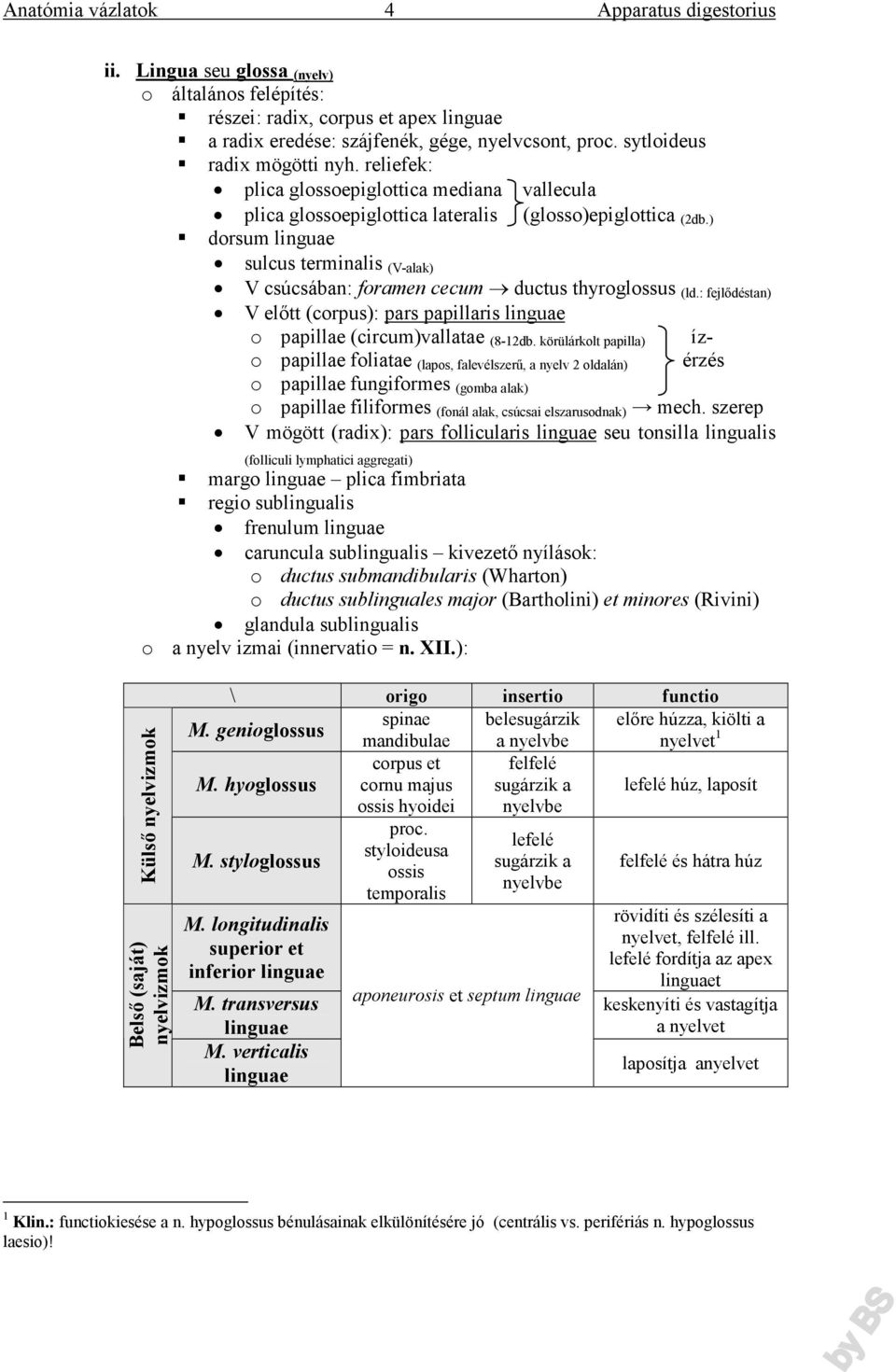 ) dorsum linguae sulcus terminalis (V-alak) V csúcsában: foramen cecum ductus thyroglossus (ld.: fejlődéstan) V előtt (corpus): pars papillaris linguae o papillae (circum)vallatae (8-12db.