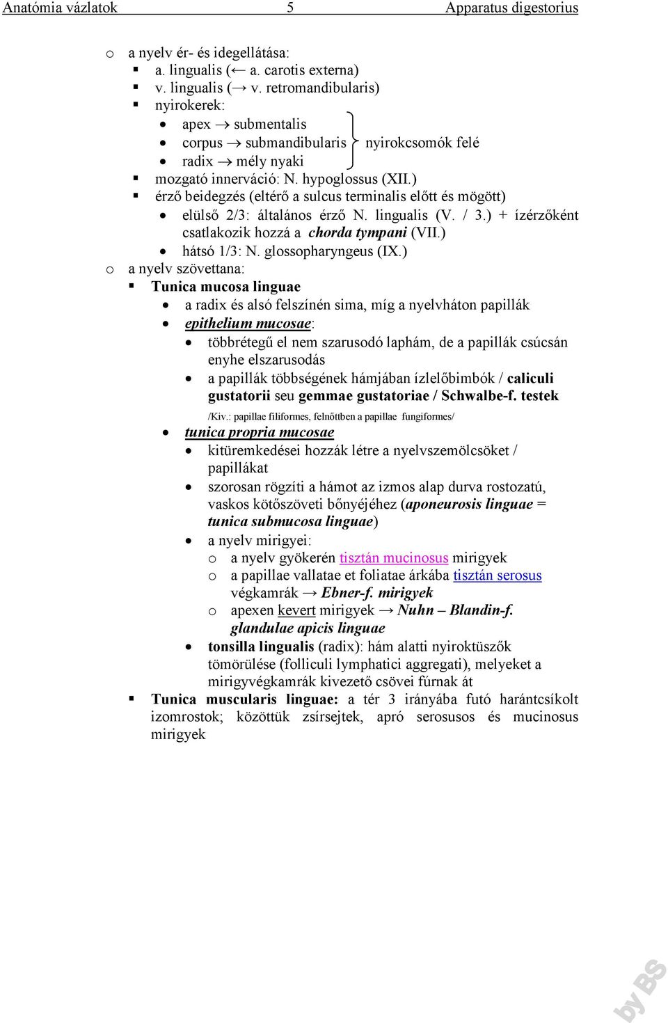 ) érző beidegzés (eltérő a sulcus terminalis előtt és mögött) elülső 2/3: általános érző N. lingualis (V. / 3.) + ízérzőként csatlakozik hozzá a chorda tympani (VII.) hátsó 1/3: N.