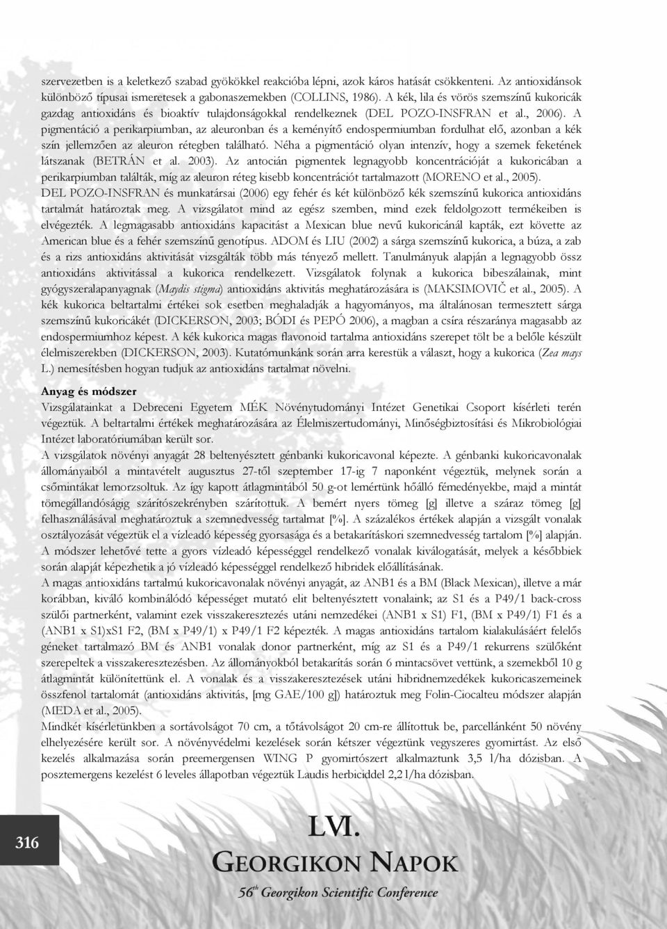 A pigmentáció a perikarpiumban, az aleuronban és a keményítő endospermiumban fordulhat elő, azonban a kék szín jellemzően az aleuron rétegben található.